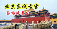 七十二种插逼免费视频中国北京-东城古宫旅游风景区